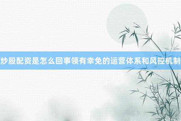 炒股配资是怎么回事领有幸免的运营体系和风控机制