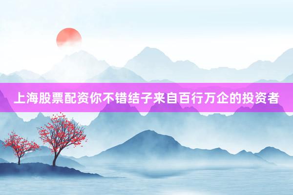 上海股票配资你不错结子来自百行万企的投资者