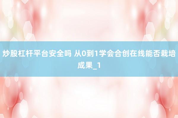 炒股杠杆平台安全吗 从0到1学会合创在线能否栽培成果_1