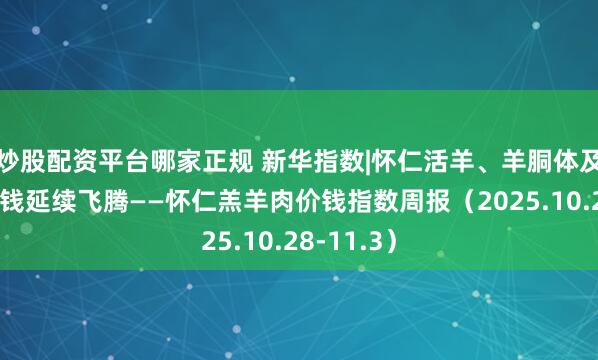 炒股配资平台哪家正规 新华指数|怀仁活羊、羊胴体及羊肉卷价钱延续飞腾——怀仁羔羊肉价钱指数周报（2025.10.28-11.3）